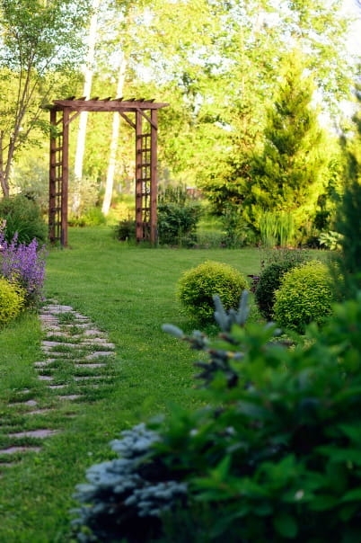 pergola-drewniana-zamontowana-ogrodzie