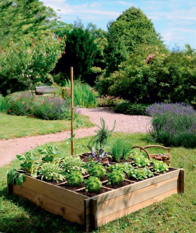 grzadka-podwyzszona-pelna-warzyw-w-ogrodzie
