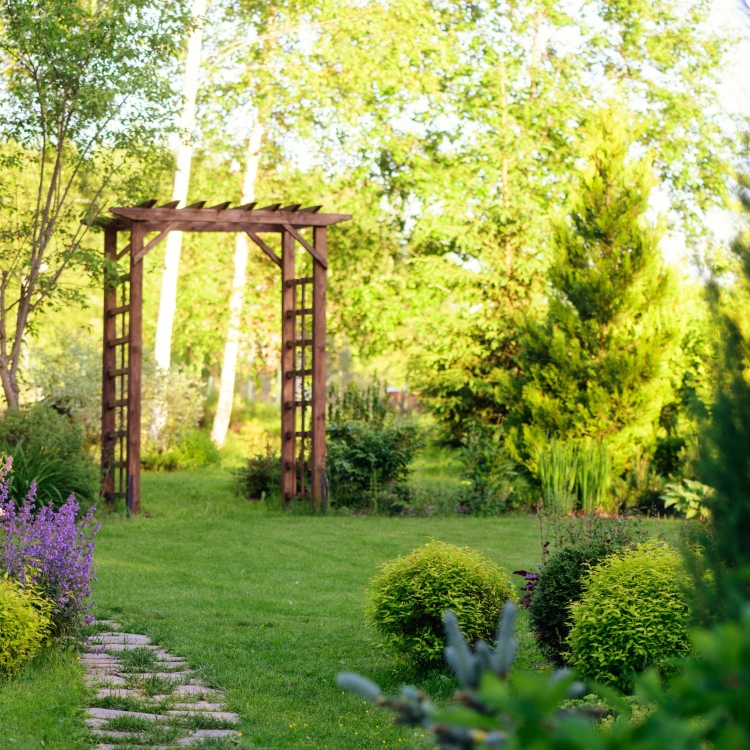 pergola-drewniana-zamontowana-ogrodzie