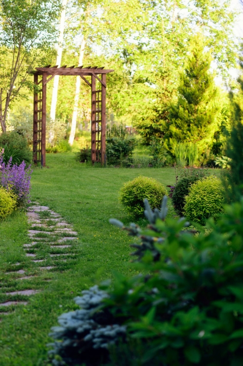 pergola-drewniana-zamontowana-ogrodzie