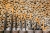714edc6ed4bf3b88693b7714b9de4c25.jpg